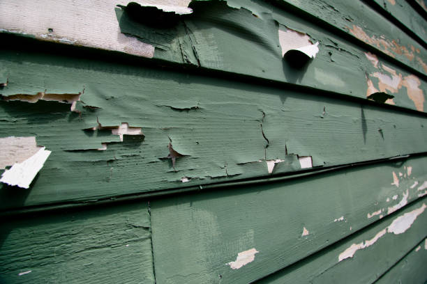 Best Demolition Debris Removal  in Waynesville, MO