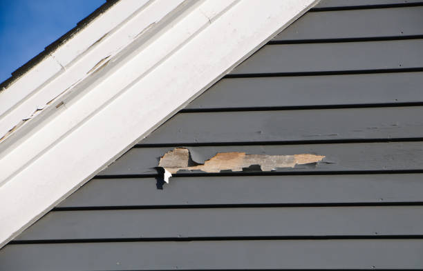 Best Demolition Debris Removal  in Waynesville, MO